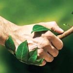 Es Bio Çevre Sağlığı ve İlaçlama