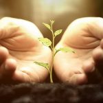 Es Bio Çevre Sağlığı ve İlaçlama